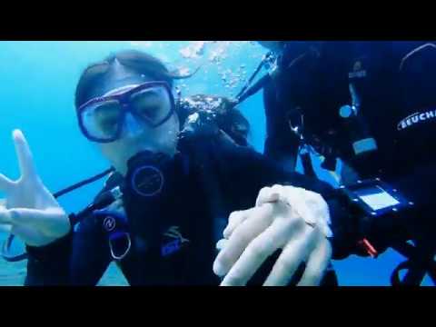 小琉球 居琉潛水背包客棧 快閃二天一夜潛水初體驗