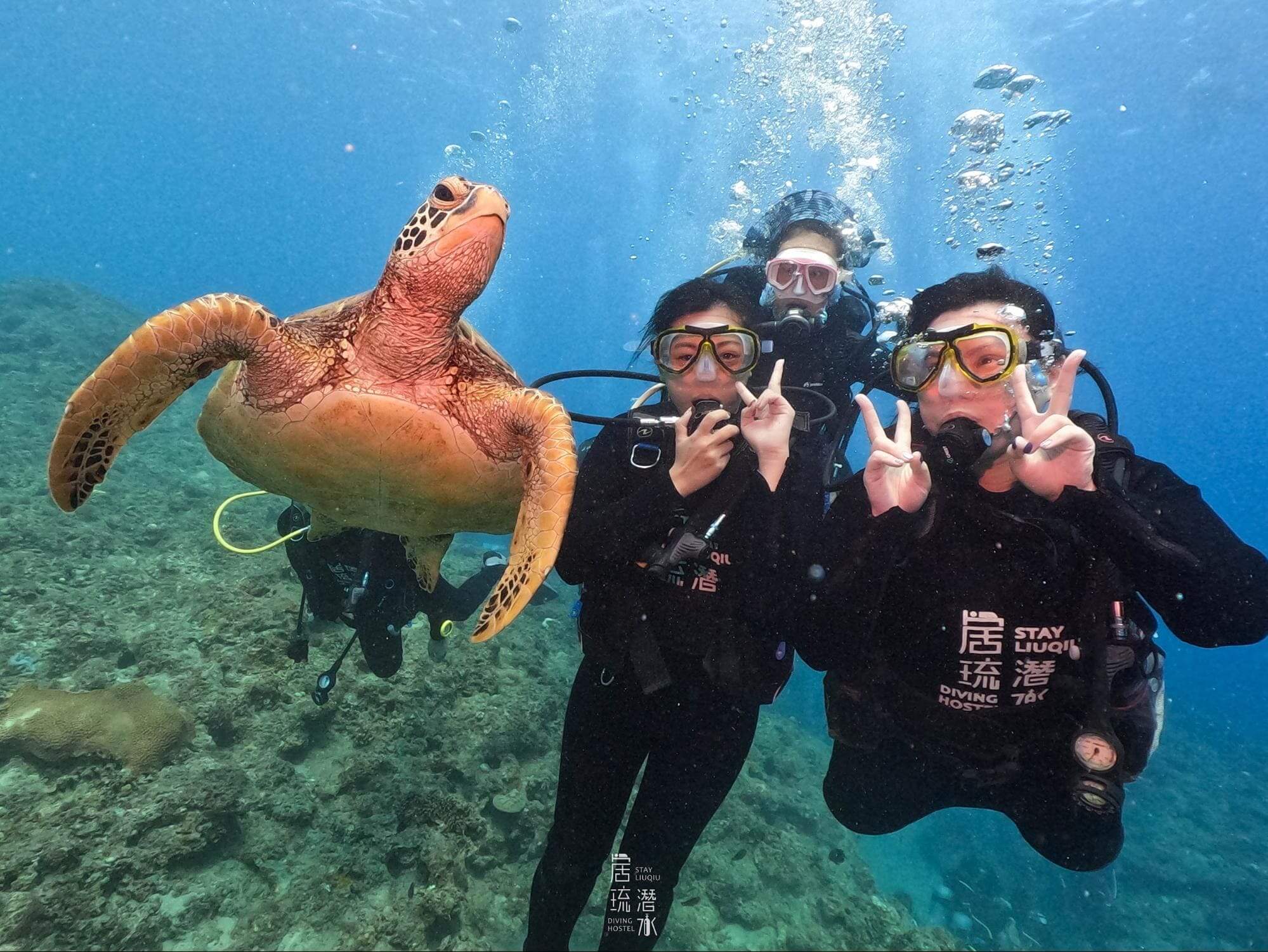 小琉球海龜同游活動照片